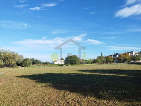 Αγροτεμάχια 1.100τ.μ. για πώληση-Μεσσατίδα » Άνω καλλιθέα