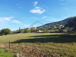 Αγροτεμάχια 1.100 τ.μ. για πώληση, Αχαΐα, Μεσσατίδα-thumb-4