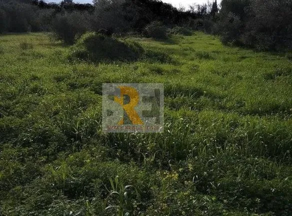 Land plot 1.700 sqm for sale, Athens - North, Drosia