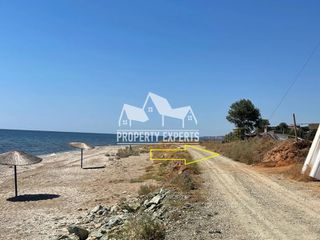 Αγροτεμάχια 4.650 τ.μ. για πώληση, Ν. Ροδόπης, Μαρώνεια-thumb-4