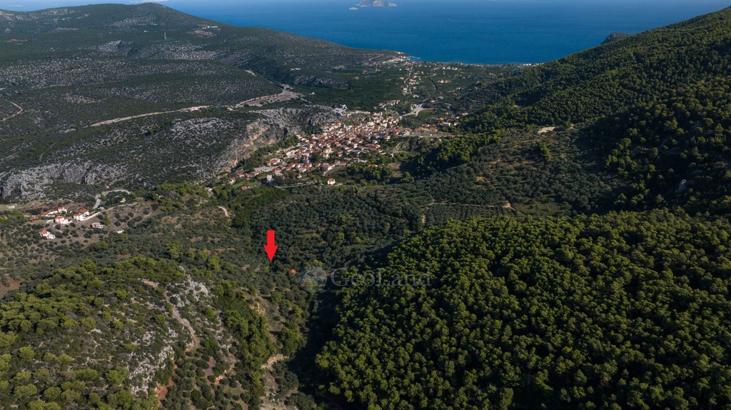 Αγροτεμάχια 15.000 τ.μ. προς πώληση, Επάνω Επίδαυρος