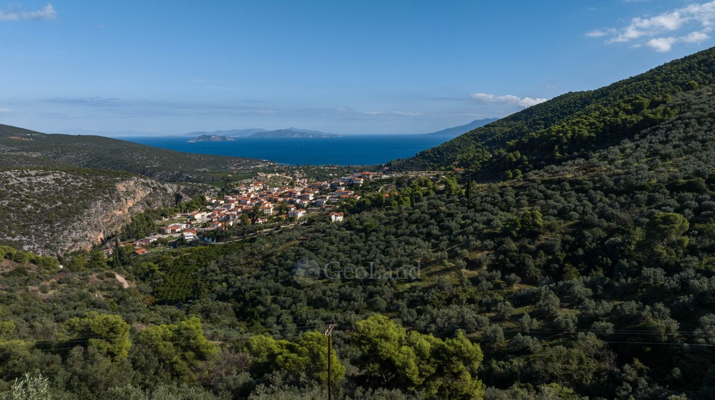 Αγροτεμάχια 15.000 τ.μ. προς πώληση, Επάνω Επίδαυρος