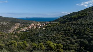 Αγροτεμάχια 15.000 τ.μ. για πώληση