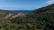 Αγροτεμάχια 15.000τ.μ. για πώληση-Επίδαυρος » Επάνω επίδαυρος