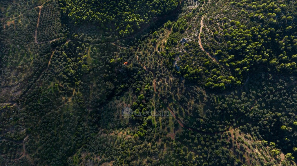Αγροτεμάχια 15.000 τ.μ. προς πώληση, Επάνω Επίδαυρος