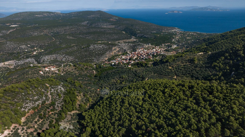 Αγροτεμάχια 15.000 τ.μ. προς πώληση, Επάνω Επίδαυρος
