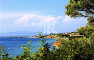 Αγροτεμάχια 350 τ.μ. για πώληση