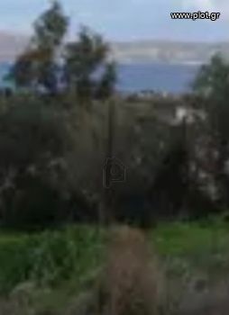Οικόπεδο 20.000τ.μ. για πώληση-Λαύριο » Άνω θορικό