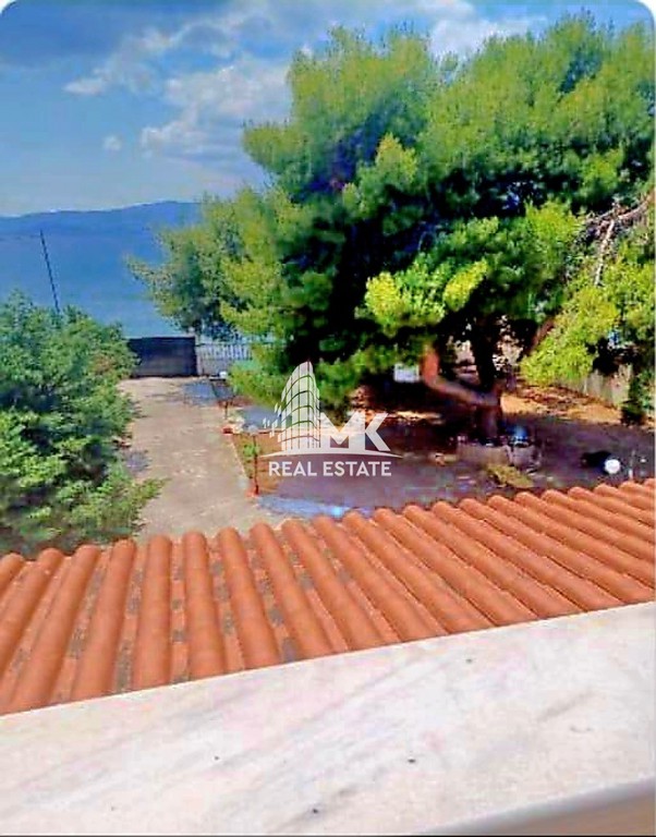 Μονοκατοικία 385 τ.μ. πρός πώληση, Κορινθία, Άγιοι Θεόδωροι
