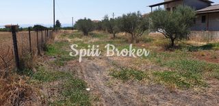 Οικόπεδο 2.170 τ.μ. για πώληση, Κορινθία, Σικυώνα-thumb-6