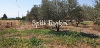 Οικόπεδο 2.170 τ.μ. για πώληση, Κορινθία, Σικυώνα-thumb-8