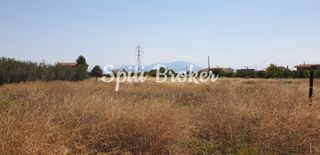Οικόπεδο 2.170 τ.μ. για πώληση, Κορινθία, Σικυώνα-thumb-10