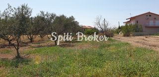 Οικόπεδο 2.170 τ.μ. για πώληση, Κορινθία, Σικυώνα-thumb-11
