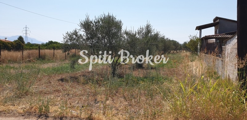 Οικόπεδο 2.170 τ.μ. πρός πώληση, Κορινθία, Σικυώνα