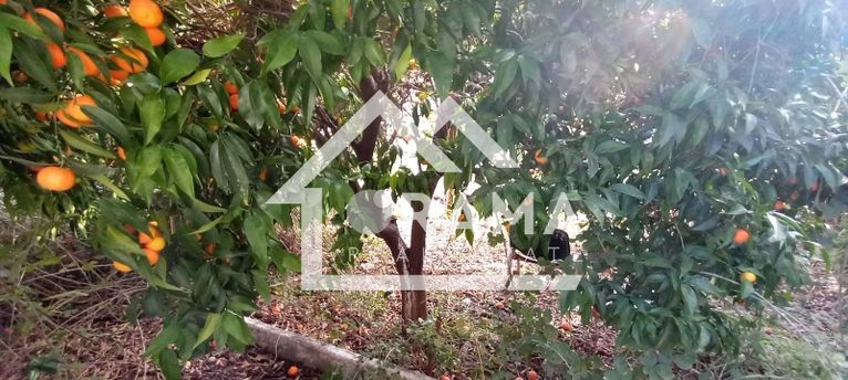 Land plot 285 sqm for sale, Achaia, Patra