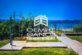 Μονοκατοικία 300 τ.μ. για πώληση, Εύβοια, Στύρα-thumb-18