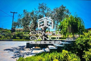 Μονοκατοικία 300 τ.μ. για πώληση, Εύβοια, Στύρα-thumb-13