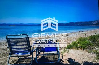Μονοκατοικία 300 τ.μ. για πώληση, Εύβοια, Στύρα-thumb-16