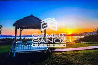Μονοκατοικία 300 τ.μ. για πώληση, Εύβοια, Στύρα-thumb-22