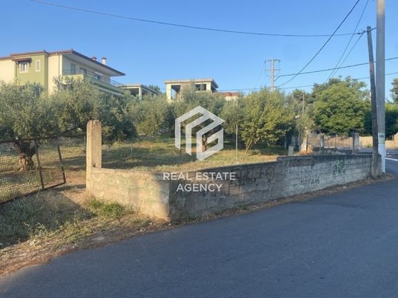 Οικόπεδο 674 τ.μ. για πώληση, Αττική - Υπόλοιπο, Ωρωπός