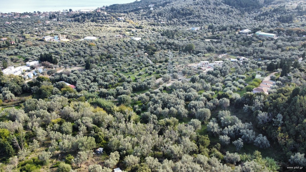 Αγροτεμάχια 5.670 τ.μ. πρός πώληση, Ν. Λευκάδας, Λευκάδα