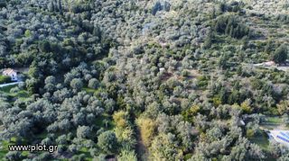 Αγροτεμάχια 5.670 τ.μ. για πώληση, Ν. Λευκάδας, Λευκάδα-thumb-5