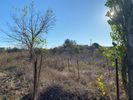 Αγροτεμάχια 4.140τ.μ. για πώληση-Θέρμη » Νέο ρύσιο