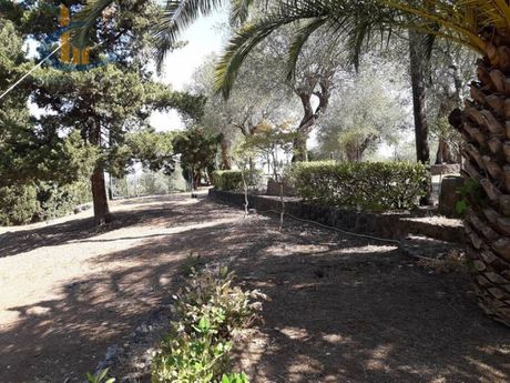 Land plot 11.000sqm for sale-Corfu » Achilleio