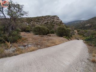 Οικόπεδο 16.896 τ.μ. για πώληση, Ν. Σάμου, Σάμος-thumb-3