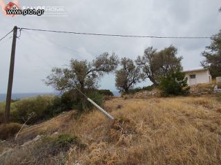 Οικόπεδο 16.896 τ.μ. για πώληση, Ν. Σάμου, Σάμος-thumb-8