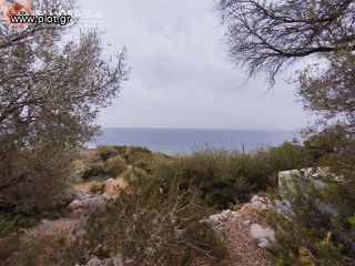 Οικόπεδο 16.896 τ.μ. για πώληση, Ν. Σάμου, Σάμος-thumb-9