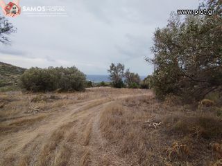 Οικόπεδο 16.896 τ.μ. για πώληση, Ν. Σάμου, Σάμος-thumb-12