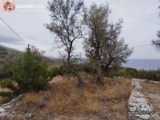 Οικόπεδο 16.896 τ.μ. για πώληση, Ν. Σάμου, Σάμος-thumb-13