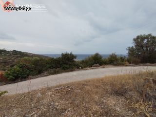 Οικόπεδο 16.896 τ.μ. για πώληση, Ν. Σάμου, Σάμος-thumb-18