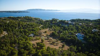Αγροτεμάχια 14.000 τ.μ. για πώληση