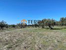 Parcel 8.000sqm for sale-Eretria