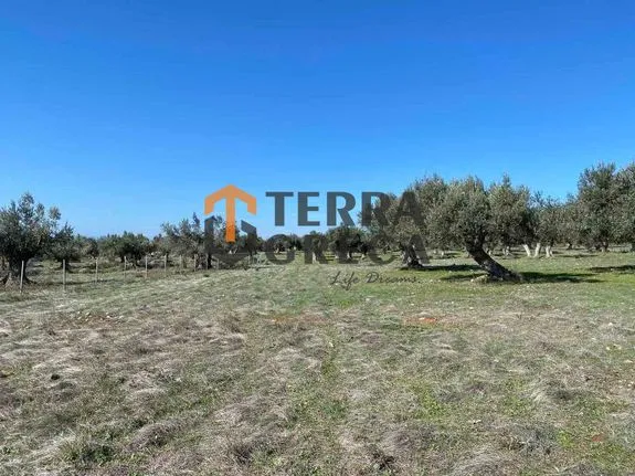 Parcel 8.000 sqm for sale, Evia, Eretria