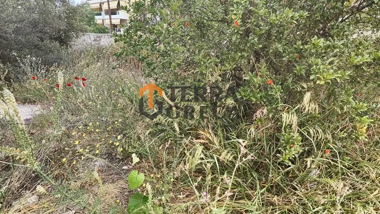 Land plot 500 sqm for sale, Rest Of Attica, Lavrio