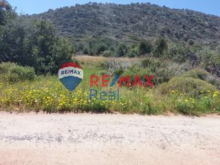 Οικόπεδο 13.784 τ.μ. πρός πώληση, Ν. Ηρακλείου, Μάλλια-thumb-1