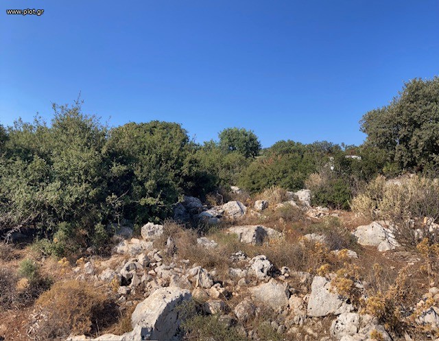 Οικόπεδο 6.000 τ.μ. πρός πώληση, Ν. Ρεθύμνου, Νικηφόρος Φωκάς