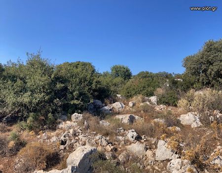 Land plot 6.000sqm for sale-Nikiforos Fokas » Gerani