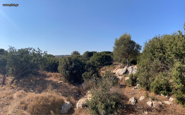 Οικόπεδο 6.000 τ.μ. πρός πώληση, Ν. Ρεθύμνου, Νικηφόρος Φωκάς