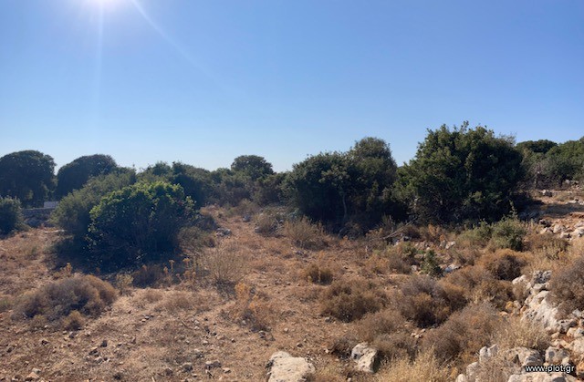 Οικόπεδο 6.000 τ.μ. πρός πώληση, Ν. Ρεθύμνου, Νικηφόρος Φωκάς
