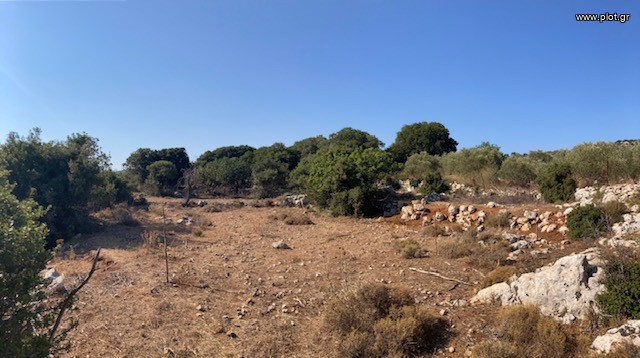 Οικόπεδο 6.000 τ.μ. πρός πώληση, Ν. Ρεθύμνου, Νικηφόρος Φωκάς