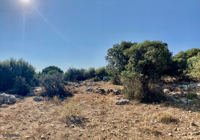Οικόπεδο 6.000 τ.μ. πρός πώληση, Ν. Ρεθύμνου, Νικηφόρος Φωκάς
