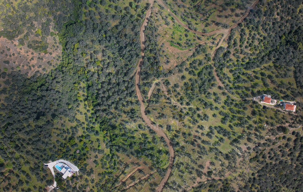Αγροτεμάχια 6.000 τ.μ. προς πώληση, Γαλατάς Τροιζήνας