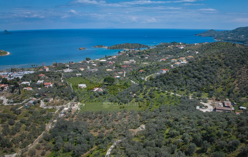 Αγροτεμάχια 3.378 τ.μ. προς πώληση, Λεμονοδάσος