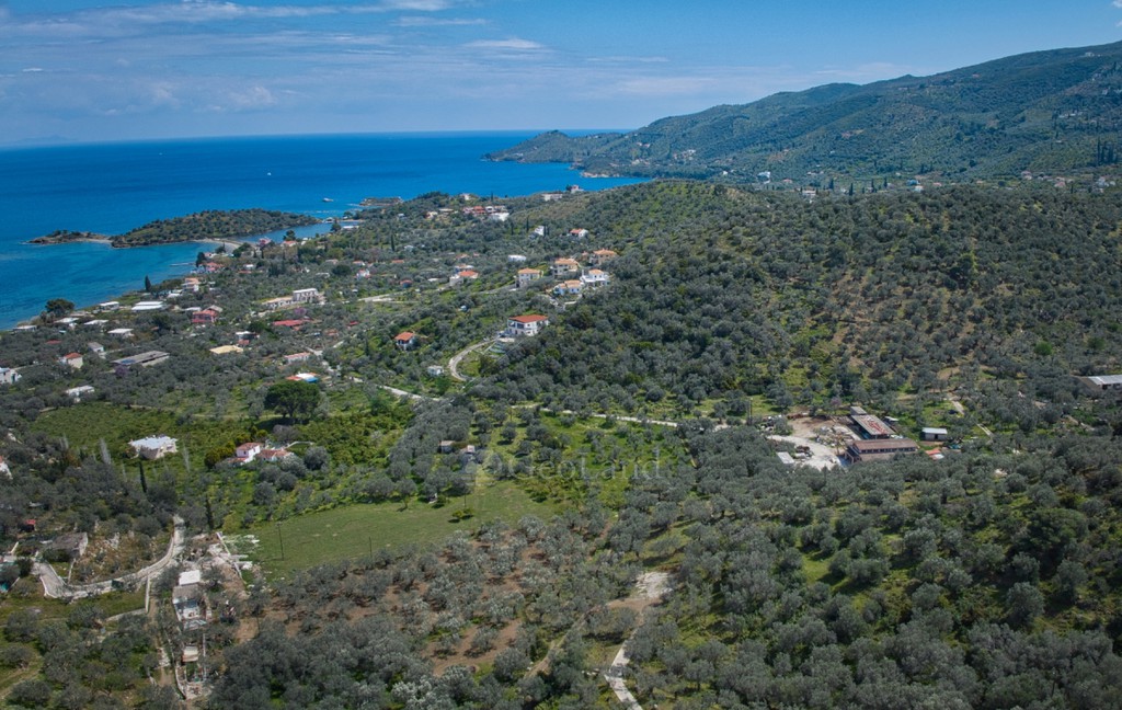 Αγροτεμάχια 3.378 τ.μ. προς πώληση, Λεμονοδάσος