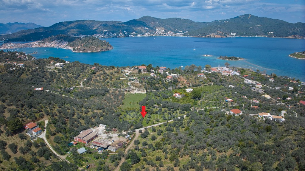 Αγροτεμάχια 3.378 τ.μ. προς πώληση, Λεμονοδάσος