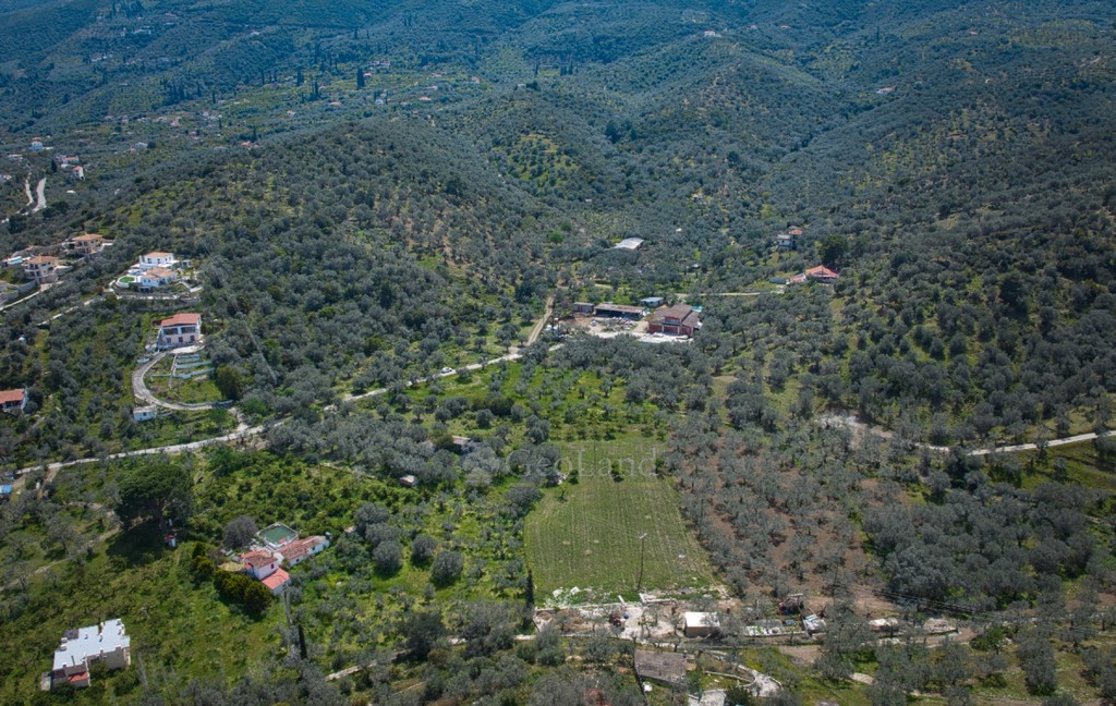Αγροτεμάχια 3.378 τ.μ. προς πώληση, Λεμονοδάσος